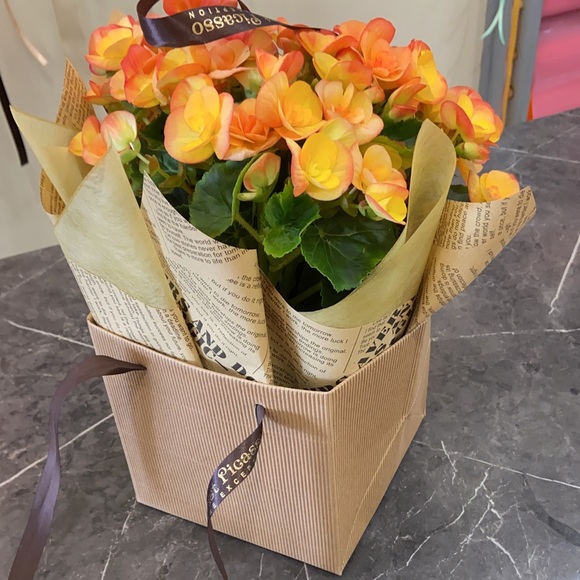 Meet your Posher, Sam - Picture 1 of 1